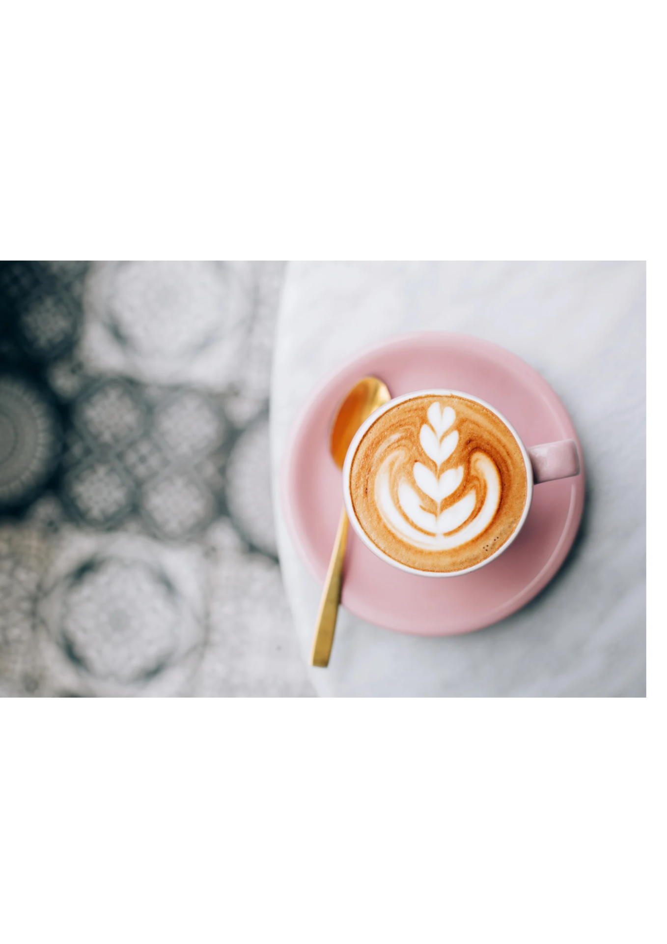 春が近づいていてきました！